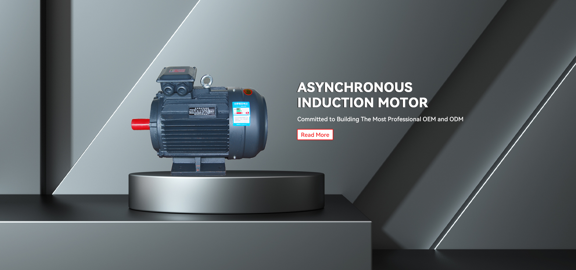 Asynkron induksjonsmotorfabrikk